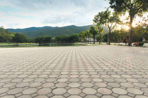 Best Interlocking Driveway Pavers  in Swainsboro, GA